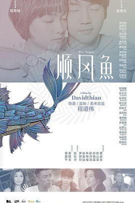 天天干天天插伊人网