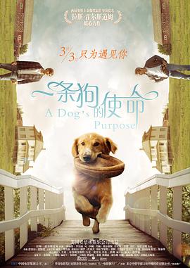 中国成人免费视频