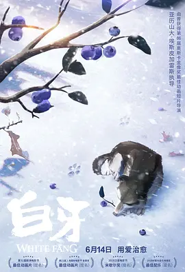 高h肉肉视频在线播放观看