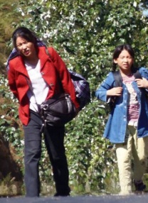 在线成人国产