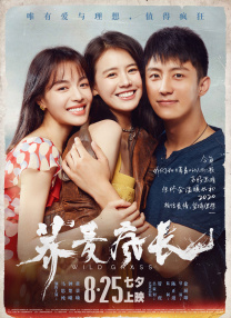20岁的秘密生活