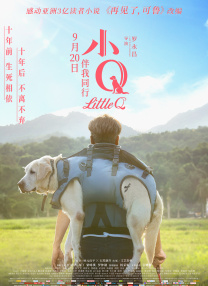 一区二区中文字幕在线观看