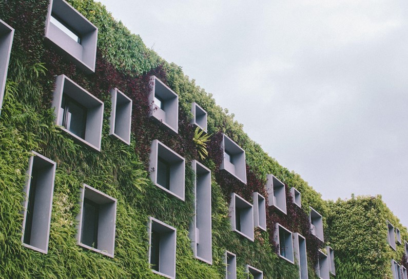 Eco-Chic Accommodations: Trendsetting Eco-Hotels and Green Lodgings